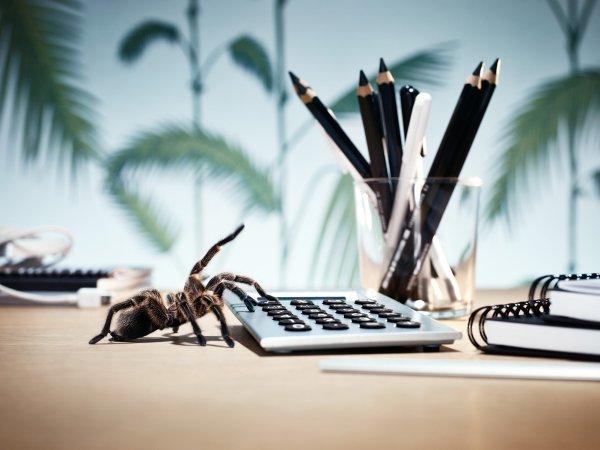 昆山邮件服务器系统Linux解决方案